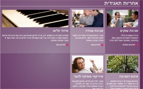 אחריות תאגידית - Google Chrome